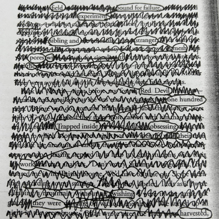 black out poetry from class using "finding the mother tree" by suzanne simard