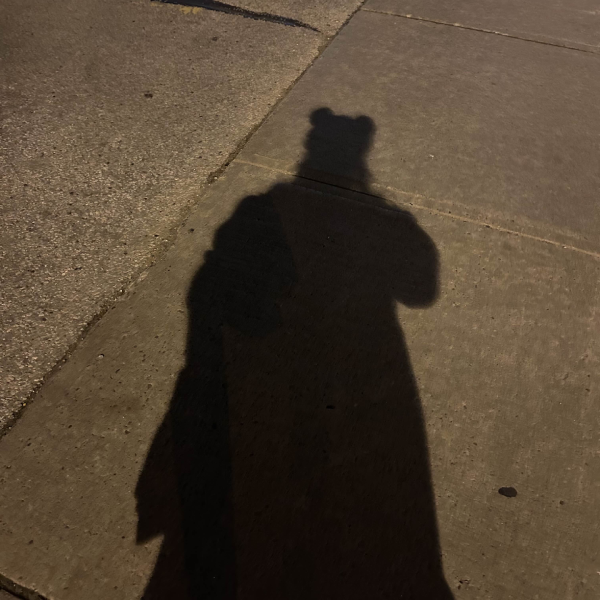 bear shaped shadow